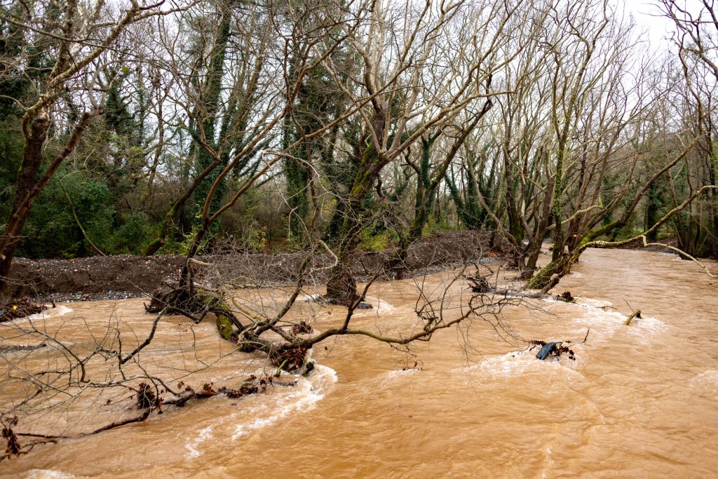A river overflowing through a forest after heavy rainfall, showing flood damage and climate-related environmental disruption.