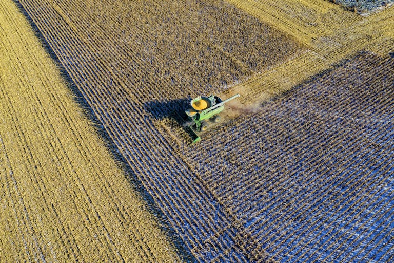 Aerial shot of a harvester working a cornfield in rural Austin, MN during fall season.