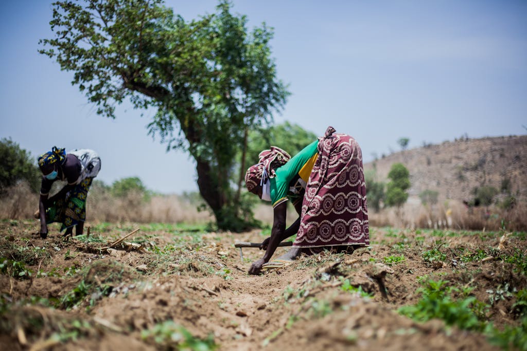 African farmers cultivating land under a blue sky, showcasing rural agricultural life.