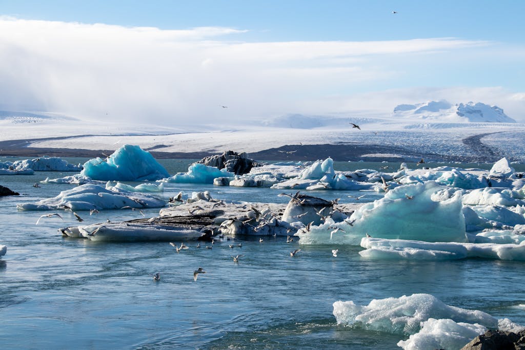 Scenic view of floating glaciers depicting climate change and winter beauty.
