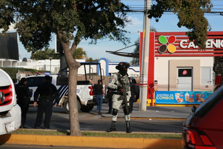 Organised Crime in Mexico: Fragmentation, Control, and the Political Economy of Violence