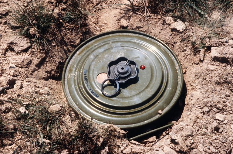 After the Fighting Stops: Landmines, Recovery and the Cost of Conflict