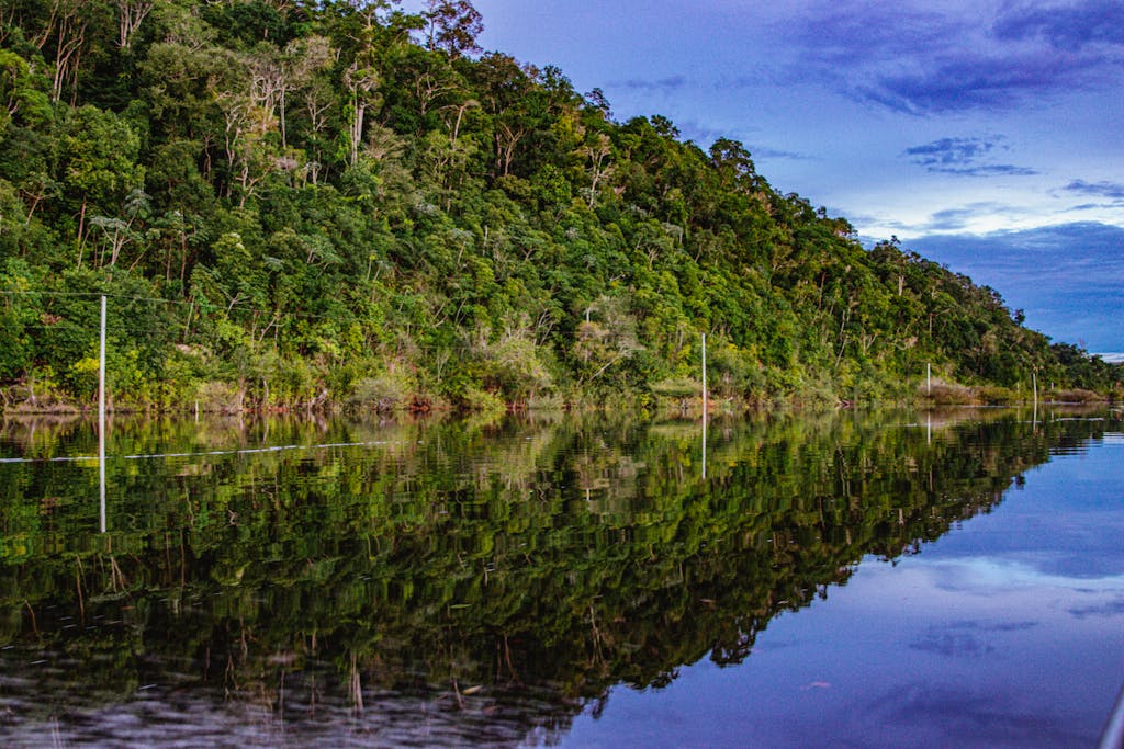 Vibrant Amazon rainforest reflection on a calm river in Parintins, Amazonas, Brazil.
